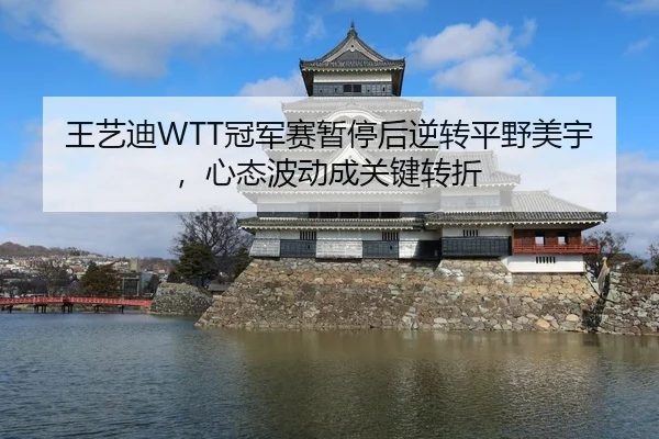 王艺迪WTT冠军赛暂停后逆转平野美宇，心态波动成关键转折
