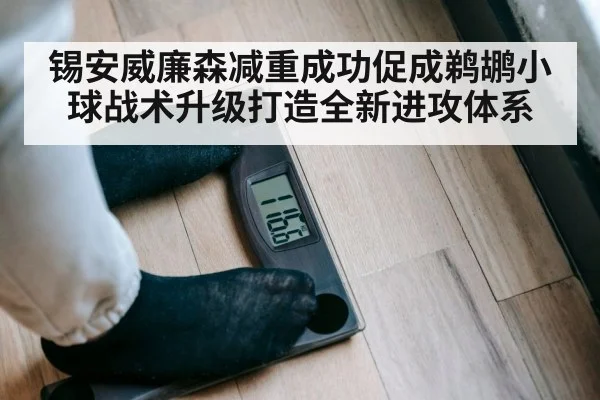 锡安威廉森减重成功促成鹈鹕小球战术升级打造全新进攻体系